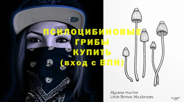 прущий лед Дмитриев