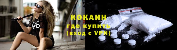 прущий лед Дмитриев