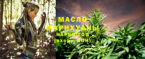 прущий лед Дмитриев