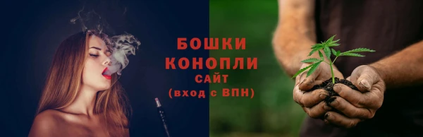 прущий лед Дмитриев