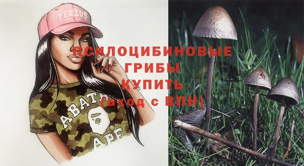 прущий лед Дмитриев