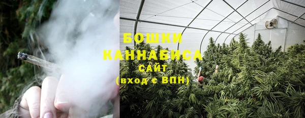 прущий лед Дмитриев