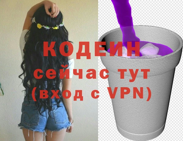 молекула духа Дмитровск