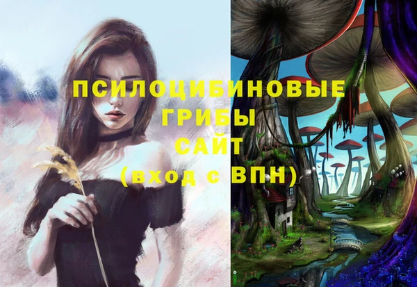 прущий лед Дмитриев