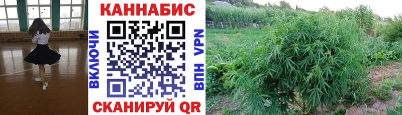 Конопля ГИДРОПОН  Ершов 